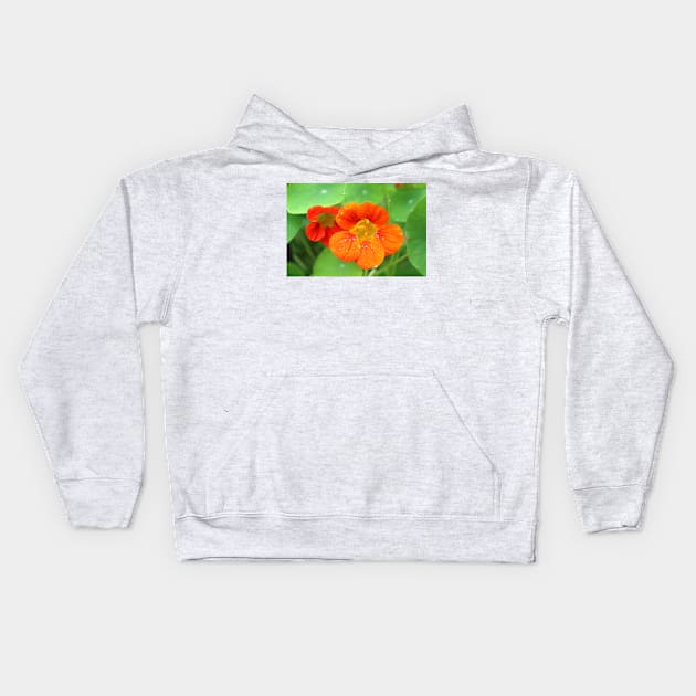 Nasturtium Flowers Kids Hoodie by pinkal